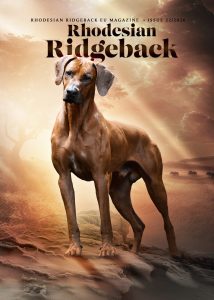 AD_RREU_cover22